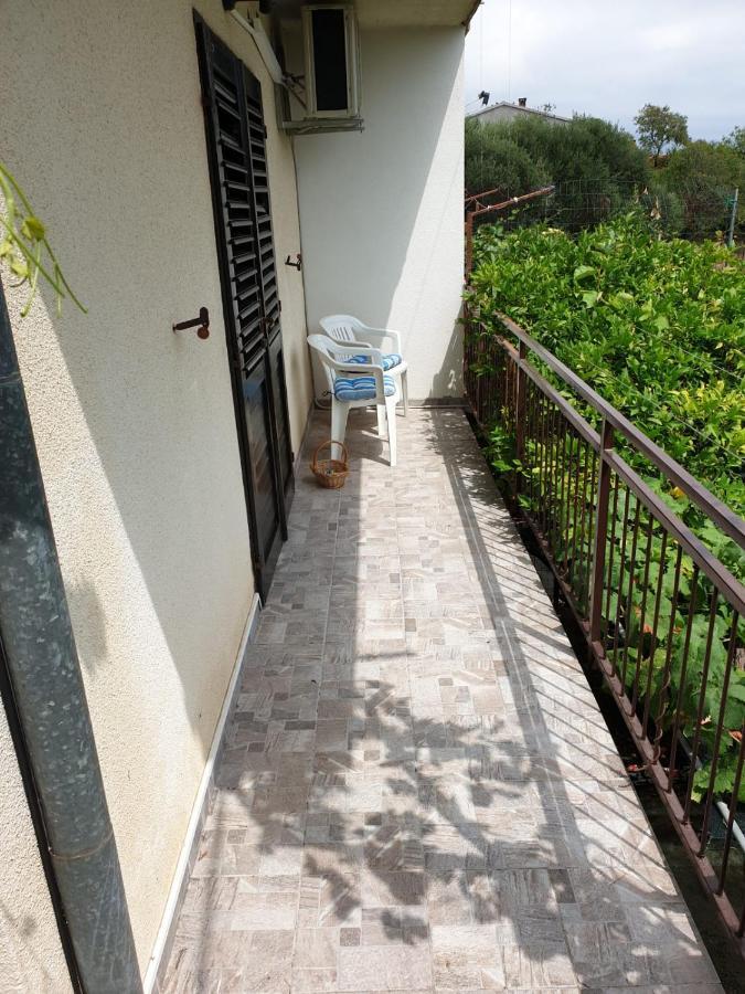 Apartments Ljiljana Orebić Extérieur photo