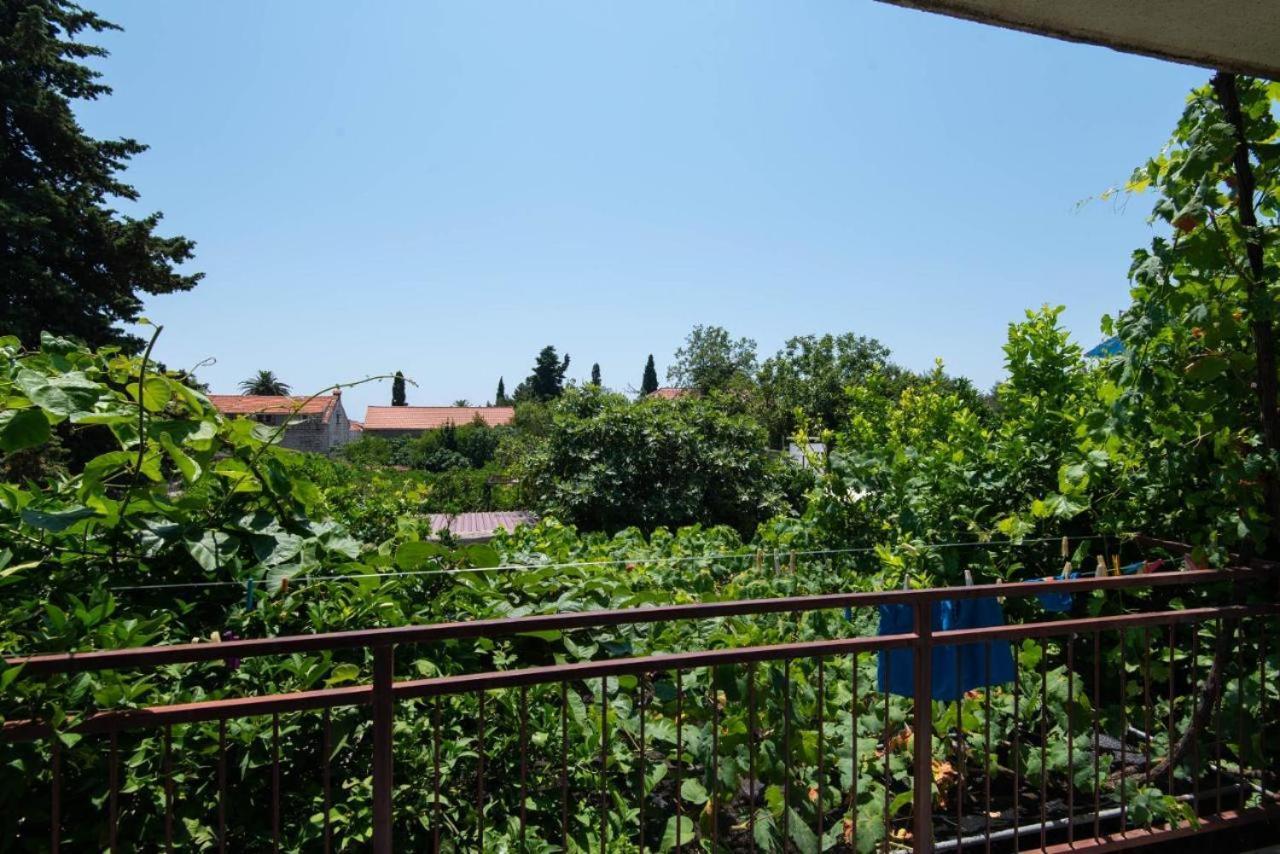 Apartments Ljiljana Orebić Extérieur photo